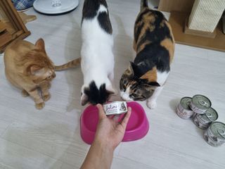 나매님이 올린 리뷰 사진 1