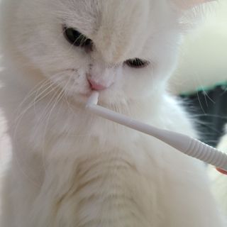 모모님이 올린 리뷰 사진 2