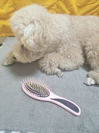 kongsae88님이 올린 리뷰 사진 1