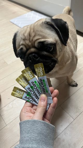 은때님이 올린 리뷰 사진 2