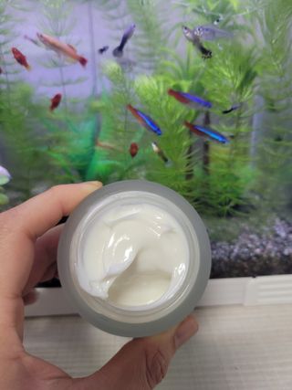 현이준이맘님이 올린 리뷰 사진 3