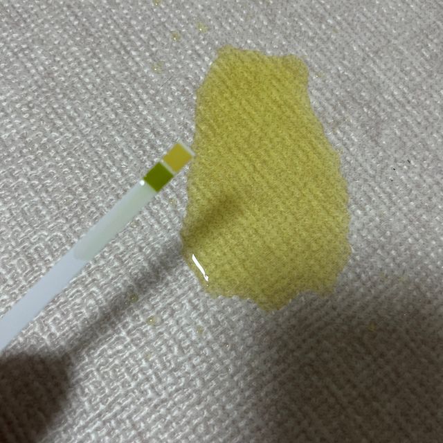 캐닌캐비어 프리스피릿(치킨) 알카라인 홀리스틱 앙뜨레 ALS 리뷰 사진