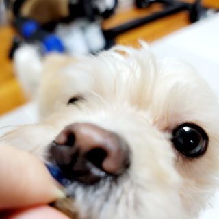 mejoom님이 올린 리뷰 사진 4