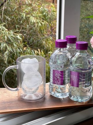 몽베스트 [MONTBEST] 330mL 20병 — 5점을 준 리뷰어가 2024년 2월 올린 사용 사진