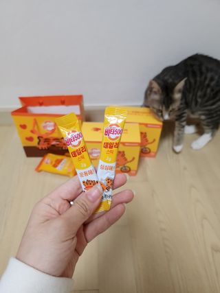 오니님이 올린 리뷰 사진 3