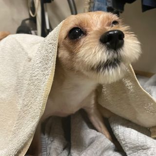 세지니힛님이 올린 리뷰 사진 1