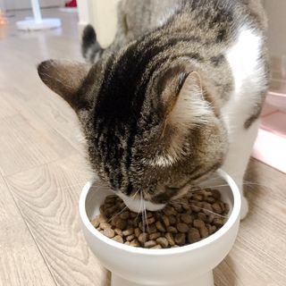 Hpy님이 올린 리뷰 사진 2