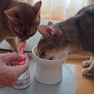 마키님이 올린 리뷰 사진 1