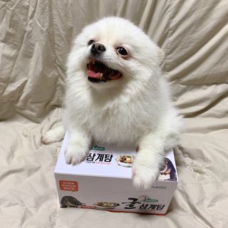 오랑이님이 올린 리뷰 사진 2