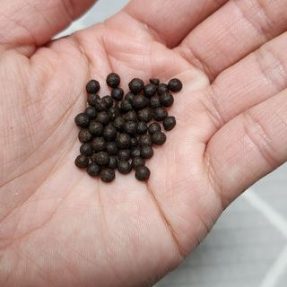바울님이 올린 리뷰 사진 4
