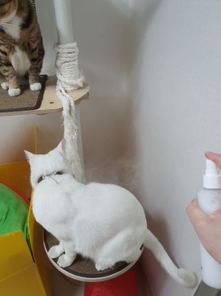 옒이님이 올린 리뷰 사진 1