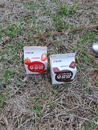 수니니님이 올린 리뷰 사진 2
