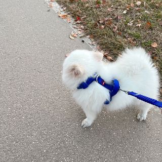오랑이님이 올린 리뷰 사진 3
