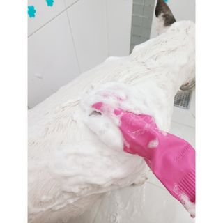 콩콩님이 올린 리뷰 사진 4