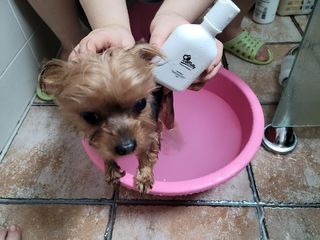 별앤별님이 올린 리뷰 사진 2