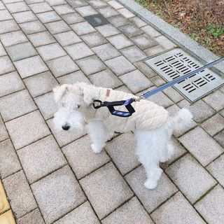 솜솜이2님이 올린 리뷰 사진 2