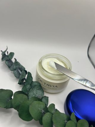 록타비아 Artisan Complete Face Cream — 5점을 준 리뷰어가 2024년 2월 올린 사용 사진