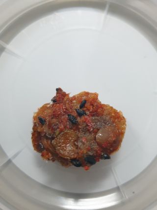 탱크돌콩님이 올린 리뷰 사진 1