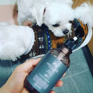 마리앤루이펫샴푸 [mari and louie pet shampoo] — 5점을 준 리뷰어가 2021년 5월 올린 사용 사진