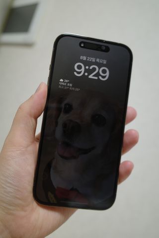 NaraKim님이 올린 리뷰 사진 1
