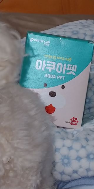 펫시랩 반려견용 액상 프리바이오틱스 아쿠아펫 — 5점을 준 리뷰어가 2020년 12월 올린 사용 사진