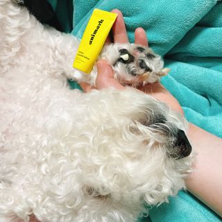 이이이잉ㅇ님이 올린 리뷰 사진 3