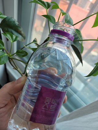 몽베스트 [MONTBEST] 330mL 20병 — 5점을 준 리뷰어가 2022년 4월 올린 사용 사진