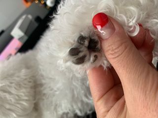 큐티윤님이 올린 리뷰 사진 4