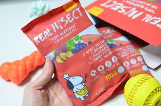 [푸디웜] 라포그  리얼인섹트 관절 저알러지 강아지 사료  1.2KG — 5점을 준 리뷰어가 2022년 8월 올린 사용 사진