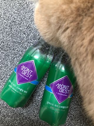 몽베스트 Montbest with Sparkling water Plain 20병 — 5점을 준 리뷰어가 2021년 11월 올린 사용 사진