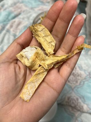 [펫시밀] 원물그대로 강원도 인제군 용대리 무염황태채 60g 강아지 고양이 프리미엄 수제간식 — 5점을 준 리뷰어가 2023년 11월 올린 사용 사진