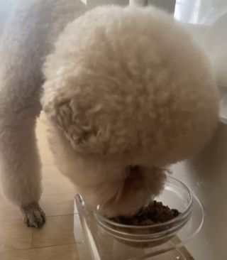태훈맘님이 올린 리뷰 사진 4
