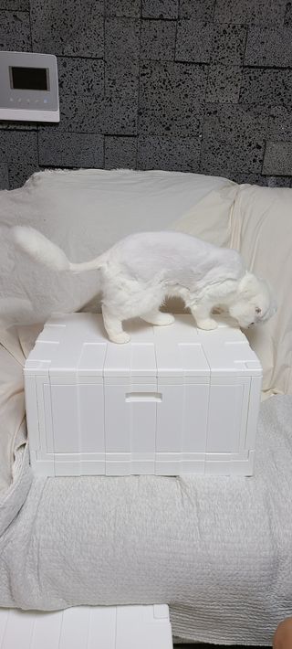 논지님이 올린 리뷰 사진 1