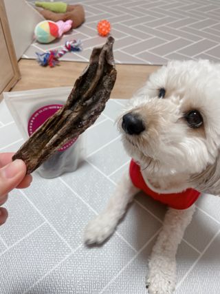연쨩님이 올린 리뷰 사진 2