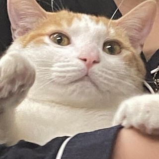 양블리님이 올린 리뷰 사진 4