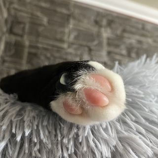 랴님이 올린 리뷰 사진 4