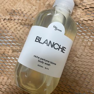 빅그린 니치 퍼퓸 바이옴바디워시 500ml(상탈, 블랙베리&베이, 블랑쉐 3종 중 택1) — 4.5점을 준 리뷰어가 2022년 8월 올린 사용 사진