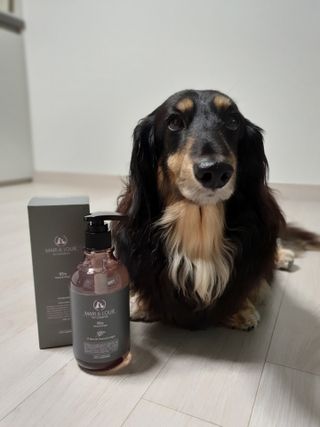 마리앤루이펫샴푸 [mari and louie pet shampoo] — 5점을 준 리뷰어가 2021년 5월 올린 사용 사진