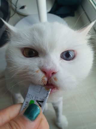 poochi님이 올린 리뷰 사진 4
