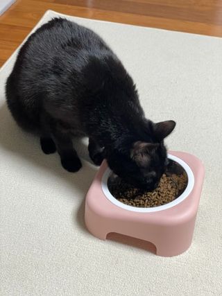 JJIN님이 올린 리뷰 사진 3
