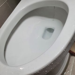 싱기방기님이 올린 리뷰 사진 4