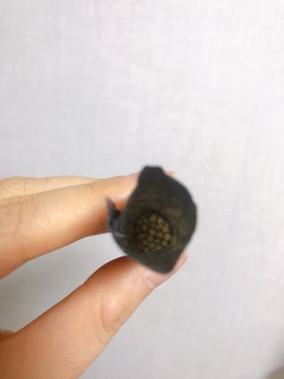 공팔리터최고님이 올린 리뷰 사진 2