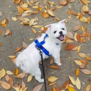 ssun님이 올린 리뷰 사진 1
