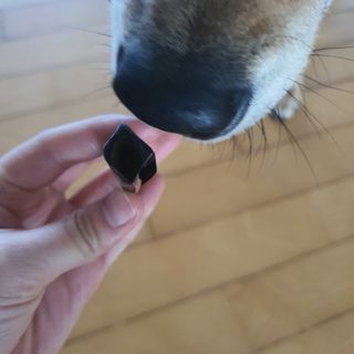 루비님이 올린 리뷰 사진 3