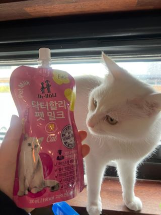 엘마마님이 올린 리뷰 사진 1