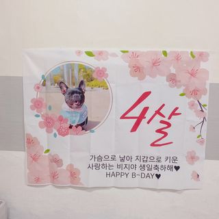 콩비지맘님이 올린 리뷰 사진 3