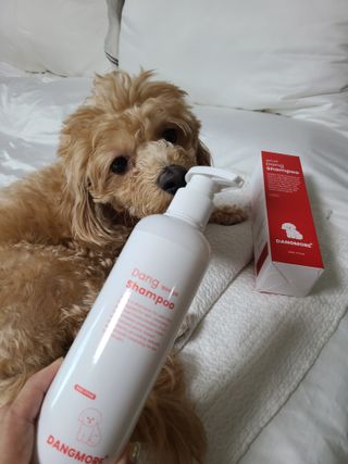 [댕모어 샴푸 2종] 댕샴푸 / 퍼피샴푸  2종 세트 (300ml) — 4.5점을 준 리뷰어가 2023년 9월 올린 사용 사진
