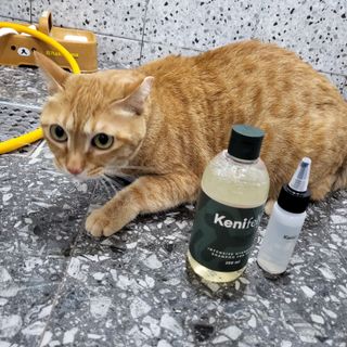 냥아치들님이 올린 리뷰 사진 3