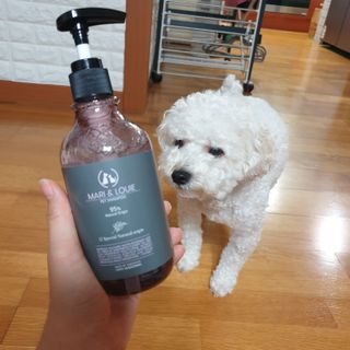마리앤루이펫샴푸 [mari and louie pet shampoo] — 5점을 준 리뷰어가 2021년 6월 올린 사용 사진