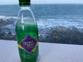 몽베스트 Montbest with Sparkling water Lemon OR Lime 20병(랜덤) — 4.5점을 준 리뷰어가 2022년 11월 올린 사용 사진